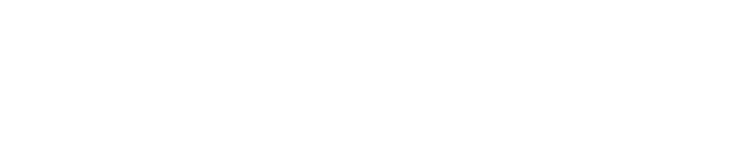 Banner - custom-landscape-1068x208