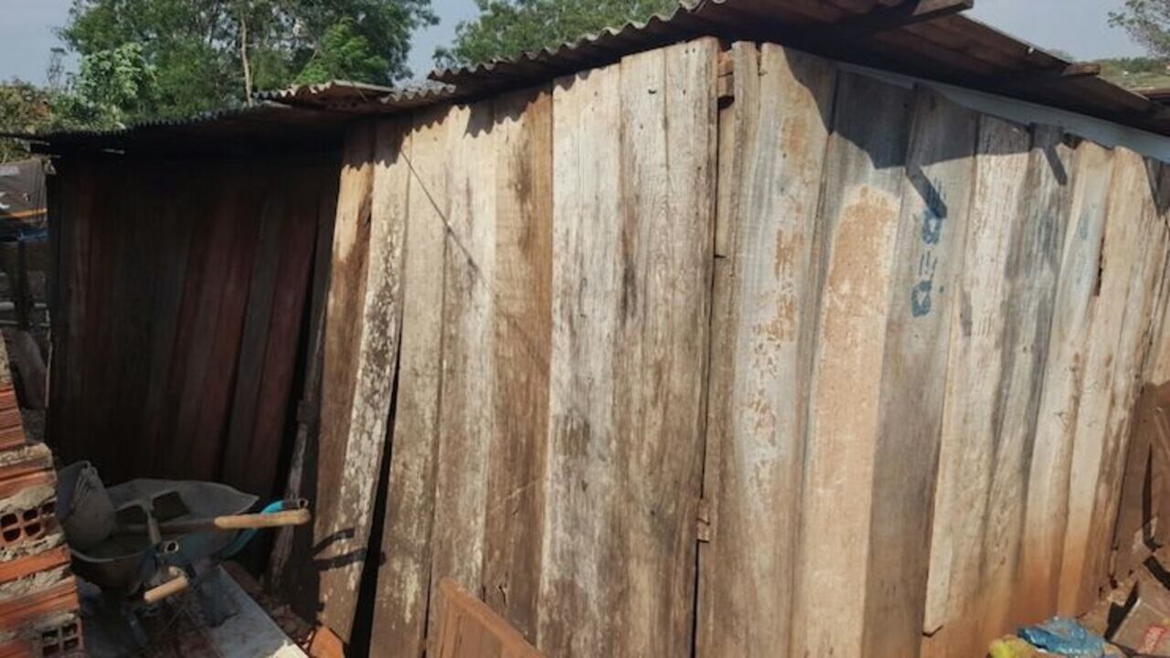 MADERA. En esta pequeña choza de madera vivían los pequeños con su mami.