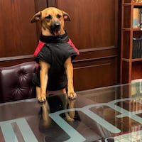 Canela pide hacer valer sus derechos y recurre al Dr. Óscar Tuma