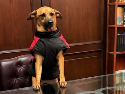 Canela pide hacer valer sus derechos y recurre al Dr. Óscar Tuma