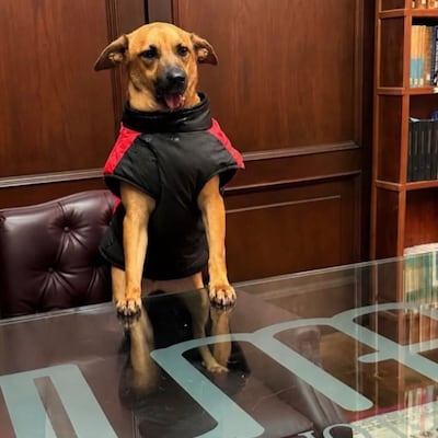 Canela pide hacer valer sus derechos y recurre al Dr. Óscar Tuma