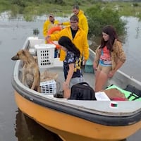 Con el agua hasta el cuello, los peluditos claman por ayuda en Ayolas