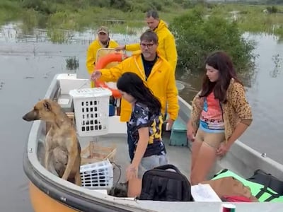 Con el agua hasta el cuello, los peluditos claman por ayuda en Ayolas
