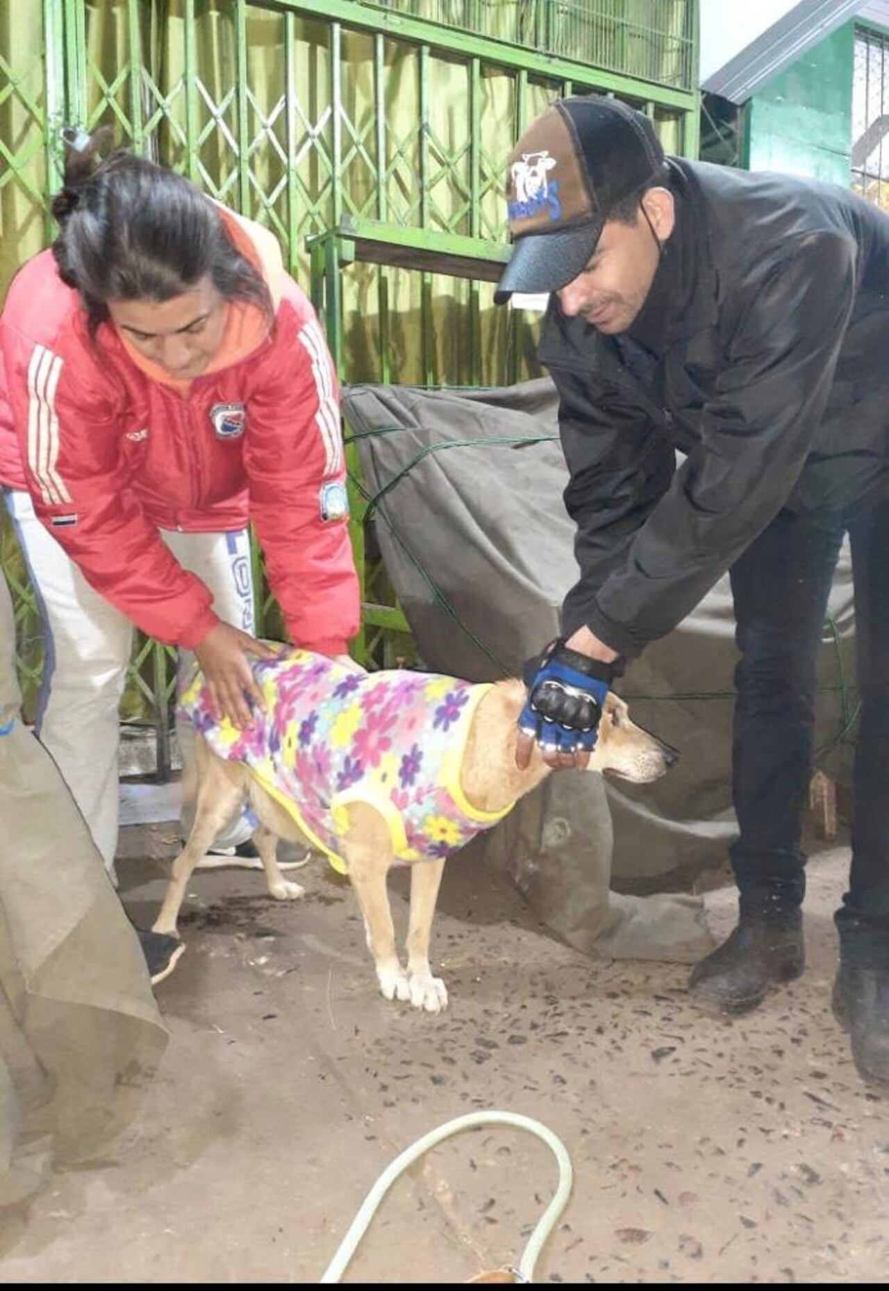 Los voluntarios abrigando a un perrito callejero de Coronel Oviedo. (GUADALUPE ACOSTA).