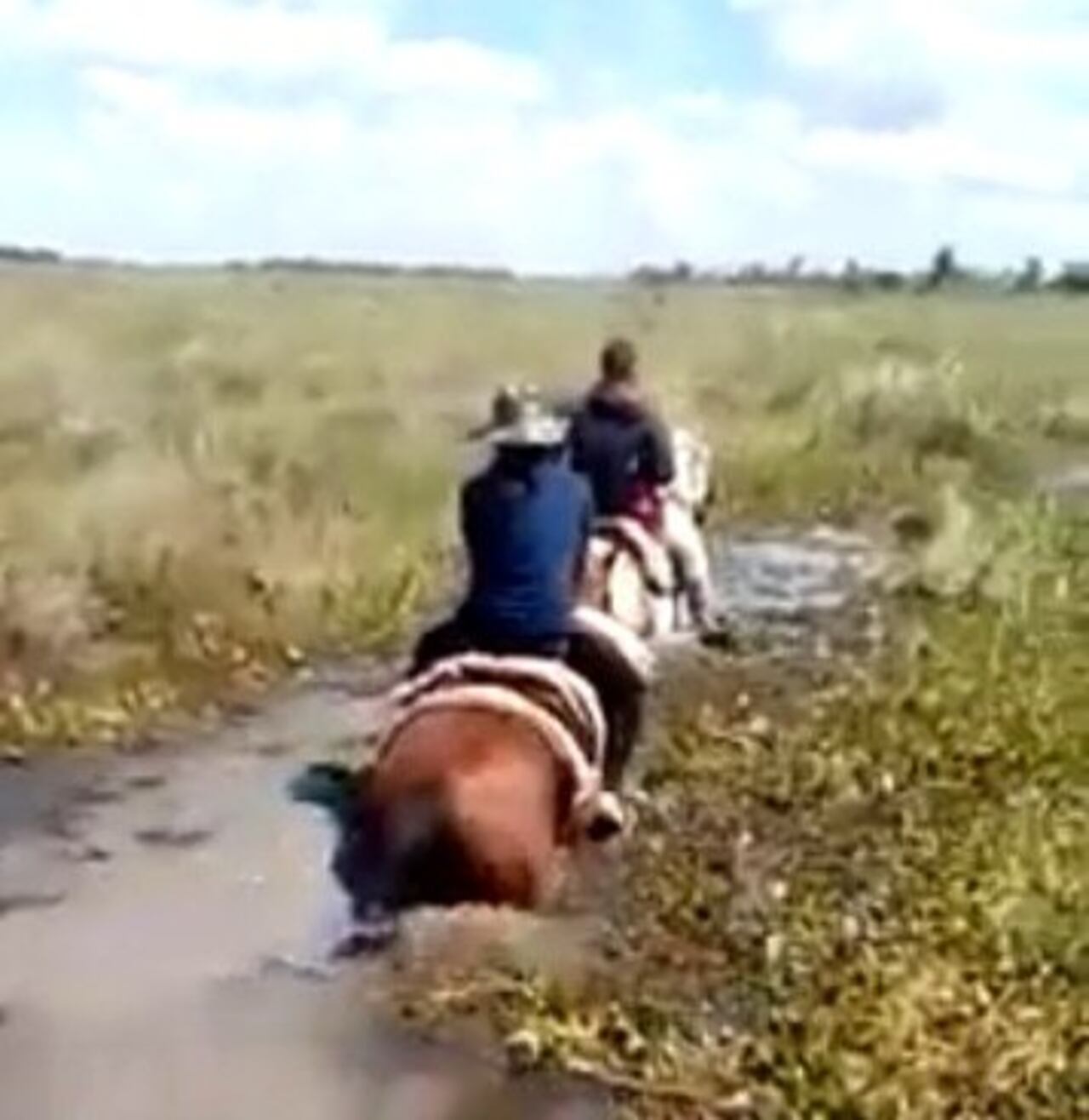 El caballo entraba casi todo en el agua, y las piernas de los especiales de la salud se mojaron hasta no poder más.
