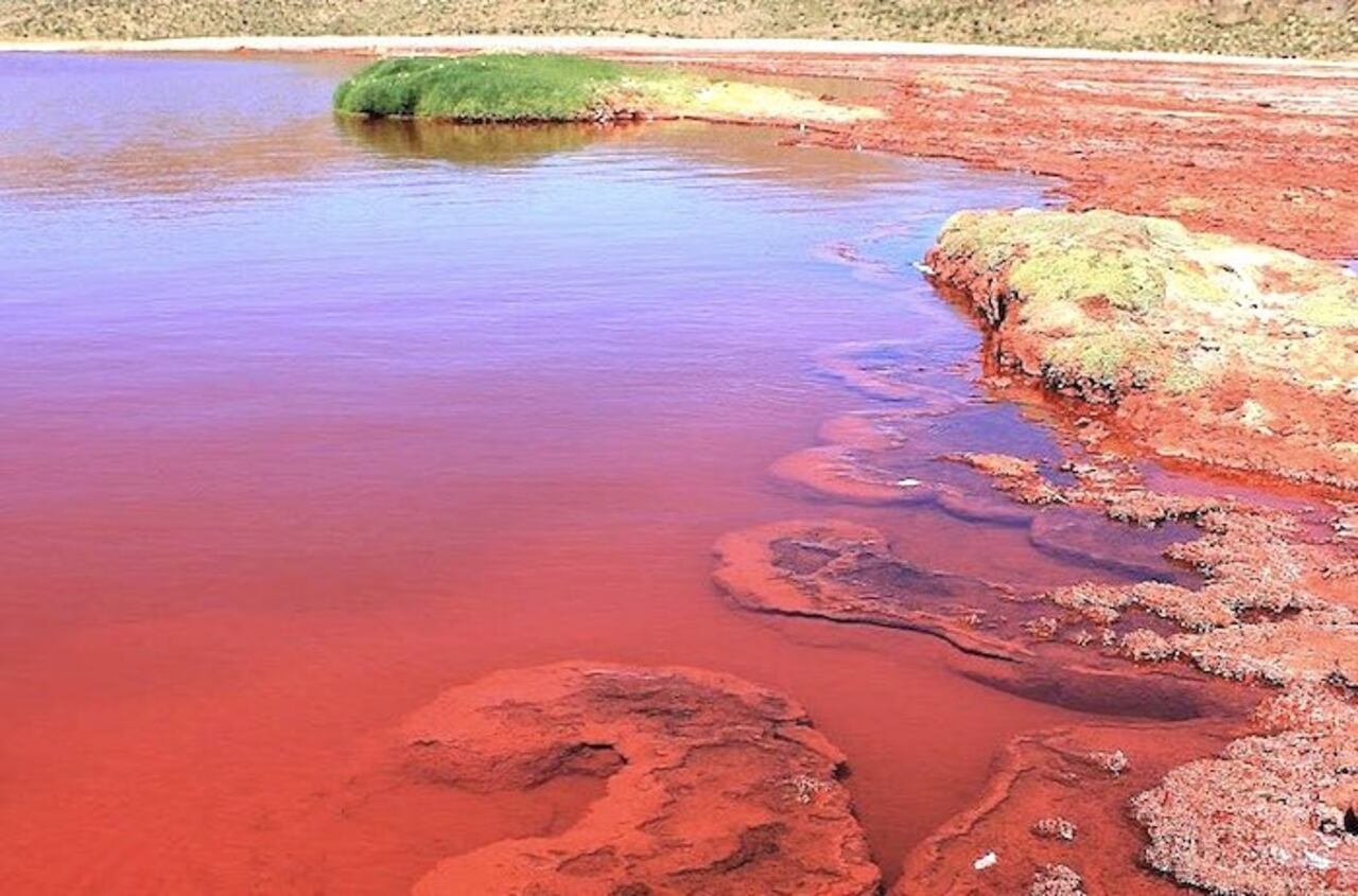 La coloración rojiza en realidad se debe a una alga he’i los del Cemip.