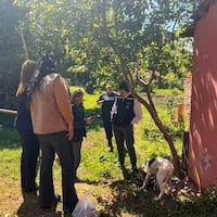 Rescatan a una Firu encadenado anga