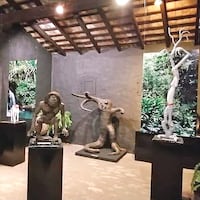 Una joya brilla en Capiatá: “Este sitio es una reliquia”