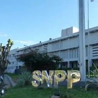 ¡Aprovechá, que es gratis! SNPP ofrece cursos de IA, marketing y más