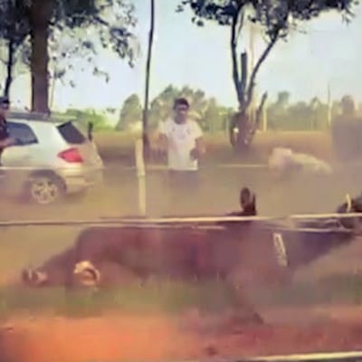 ¡Terrible! Nene de ocho años fallece al caer de un caballo