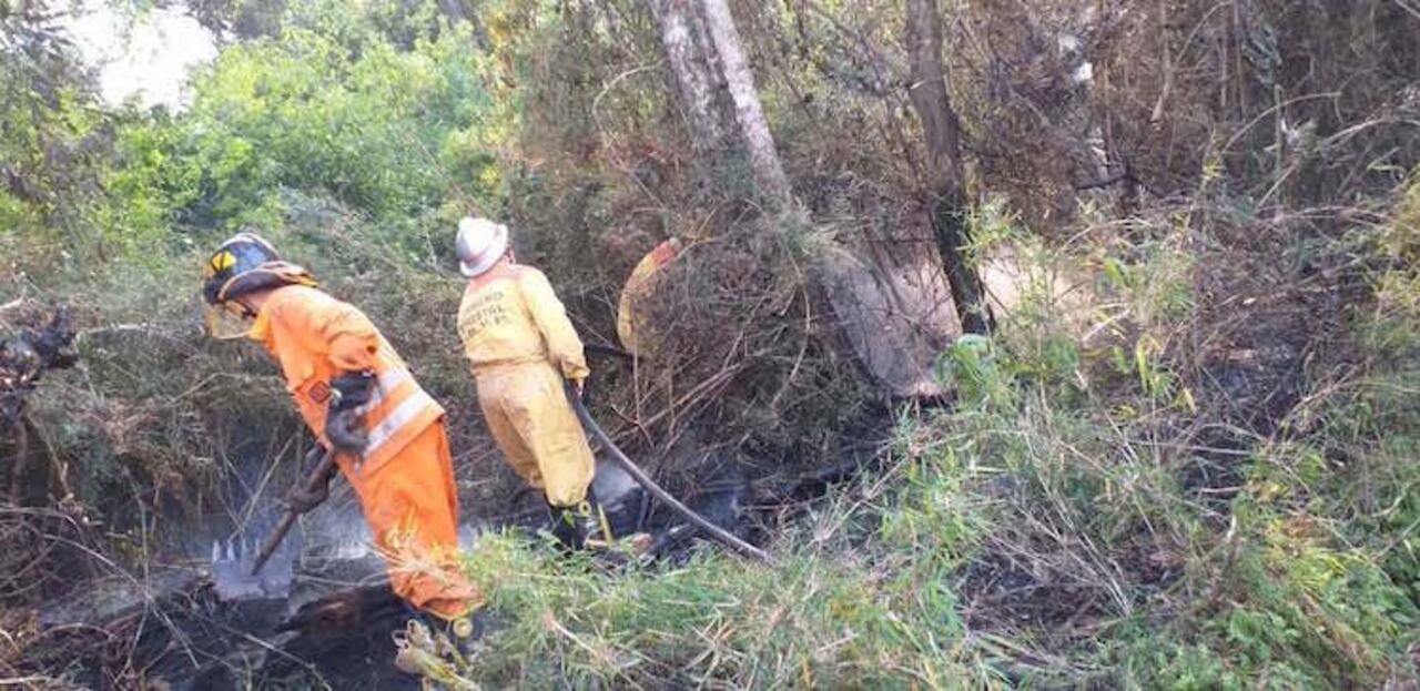 Los casos de incendios forestales aumentaron por la inconsciencia de la gente he’i.