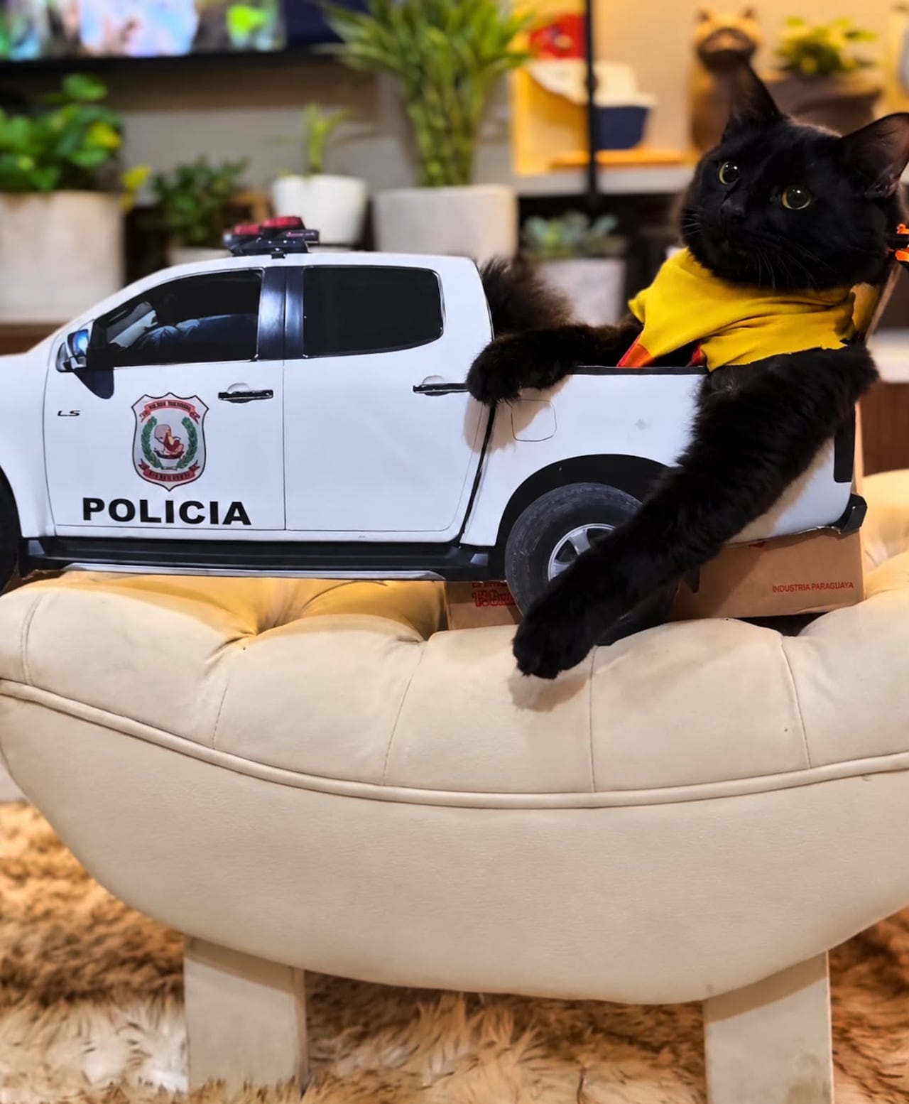 Posó con el patrullero policial.
