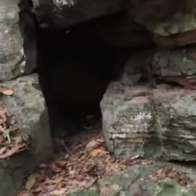 ¿Tesoro escondido?: un gran misterio rodea al cerro Punta