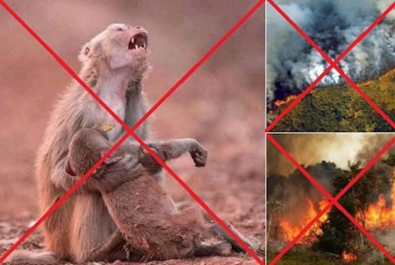 Estas fotos no son actuales.