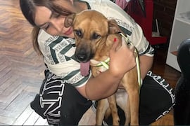 “No voy a entregar a Canela, me van a tener que matar para que eso pase”