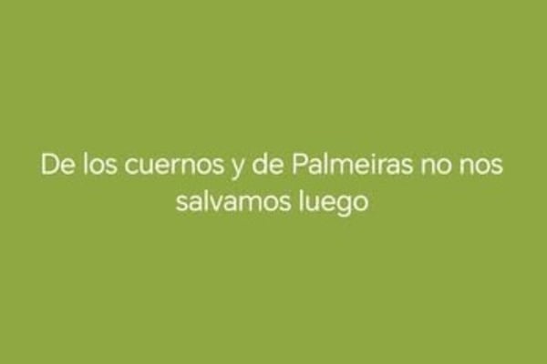 Reír o llorar. Los memes del 236.423 duelo entre Cerro y Palmeiras