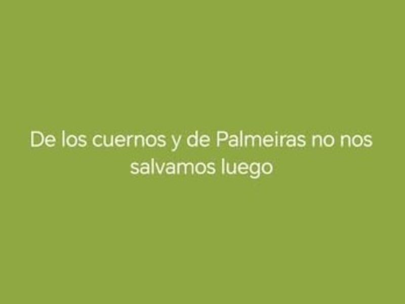 Reír o llorar. Los memes del 236.423 duelo entre Cerro y Palmeiras