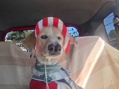 ¡Síganme loperro! El novio del Mundial ya tiene cuenta en Instagram