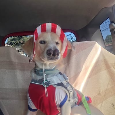 ¡Síganme loperro! El novio del Mundial ya tiene cuenta en Instagram