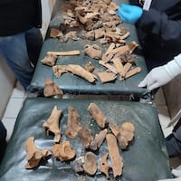 ¡Miedo! Encontraron huesos humanos en Tacumbú