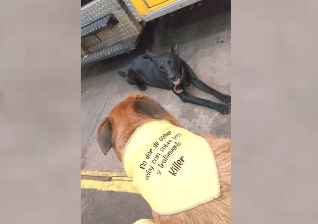 En la espalda lleva un pañuelo en donde indica a la gente el porqué ya no puede compartir el tereré rupa.