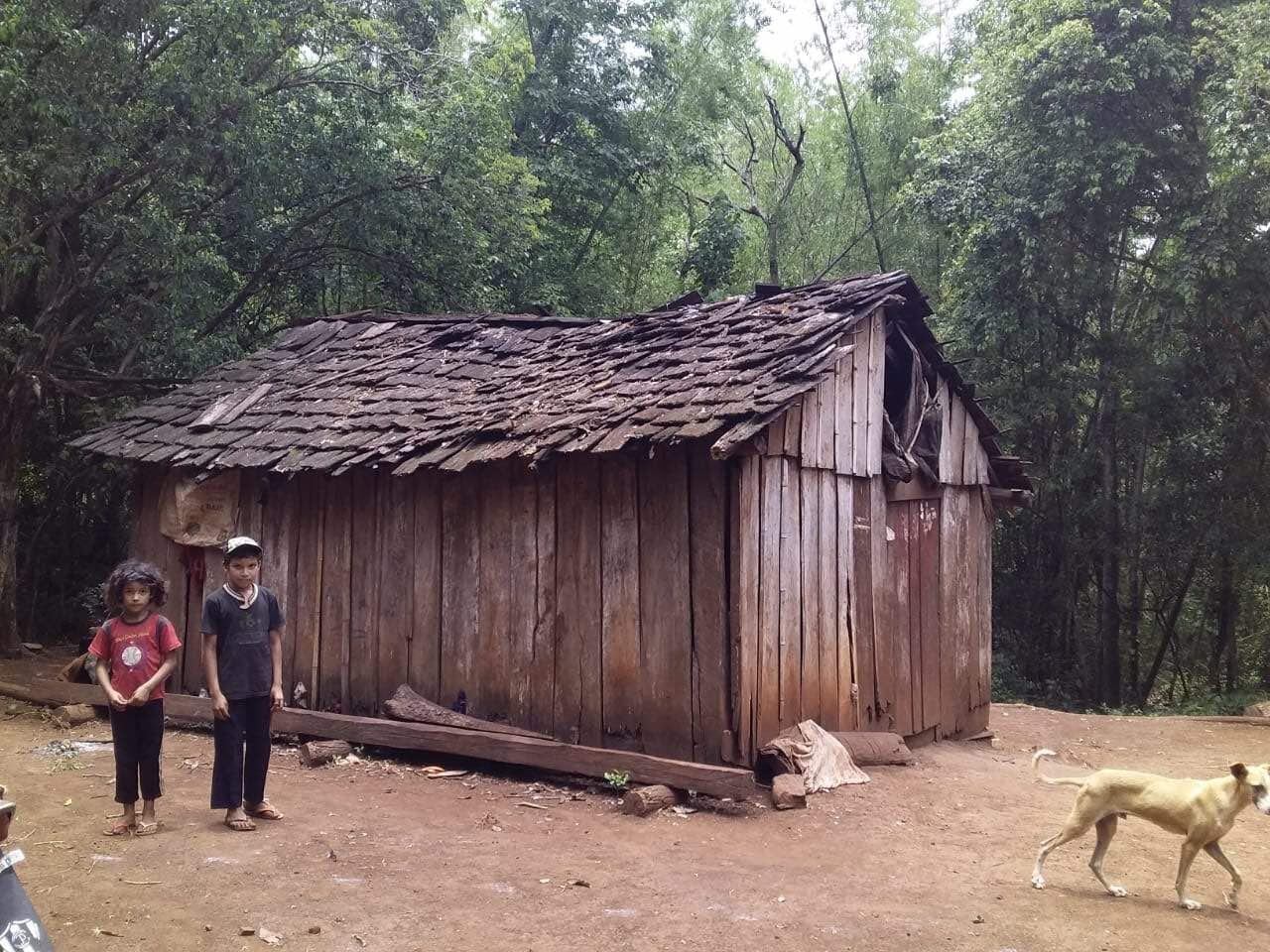 Así era el lugar donde vivían en el bosque