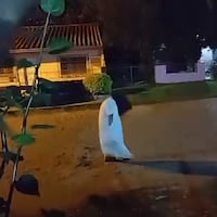 Policías vs “póra”: los uniformados dan cháke