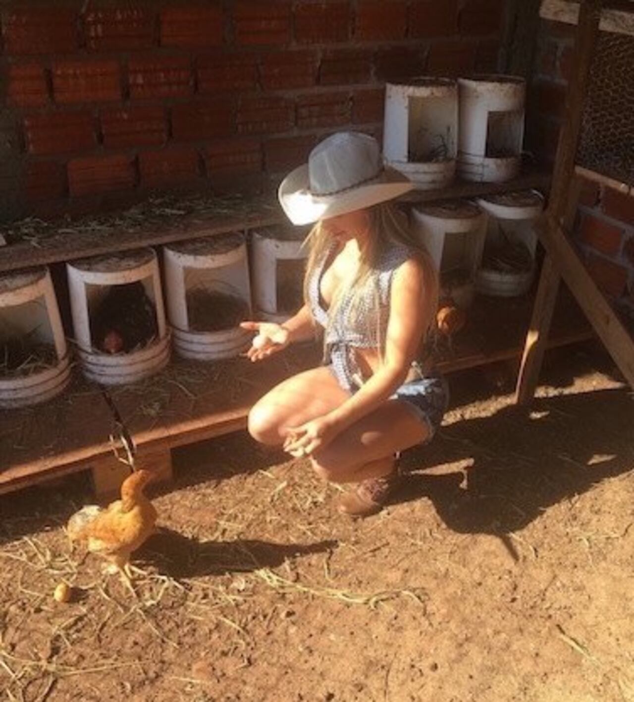 CANTIDAD. Actualmente, Cinthia es criadora cerca de 100 gallinas.