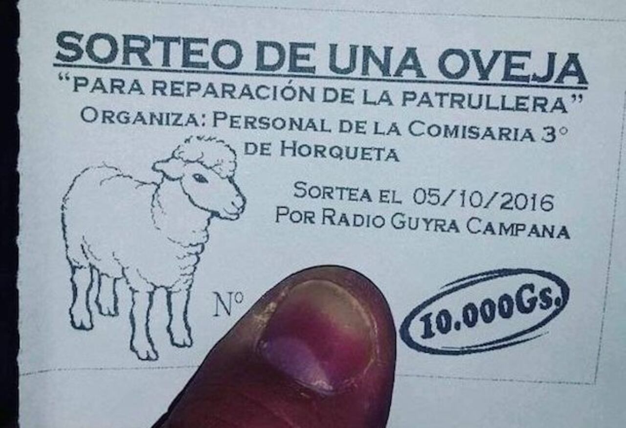 2-foto-3-cro-copia