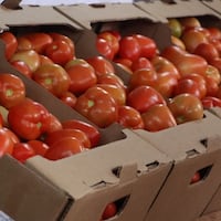 Hembypa la tomate y se podrá conseguir a G. 3.500 por kilo