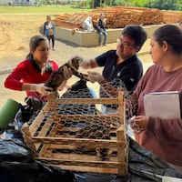 Veterinarios de la EBY atienden a mascotas evacuadas en Ayolas