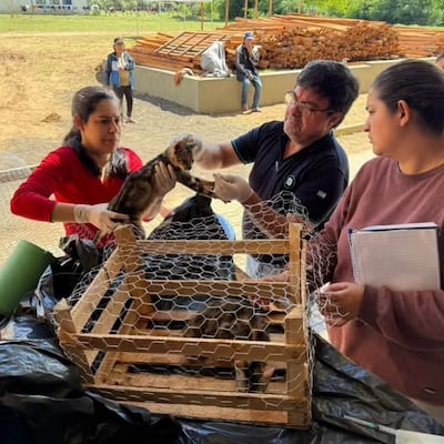 Veterinarios de la EBY atienden a mascotas evacuadas en Ayolas