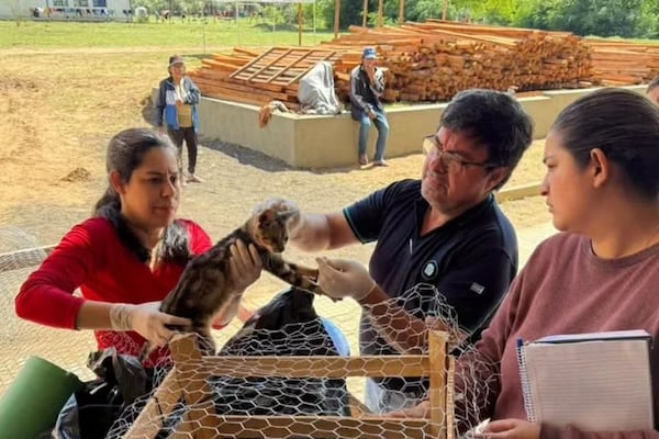 Veterinarios de la EBY atienden a mascotas evacuadas en Ayolas