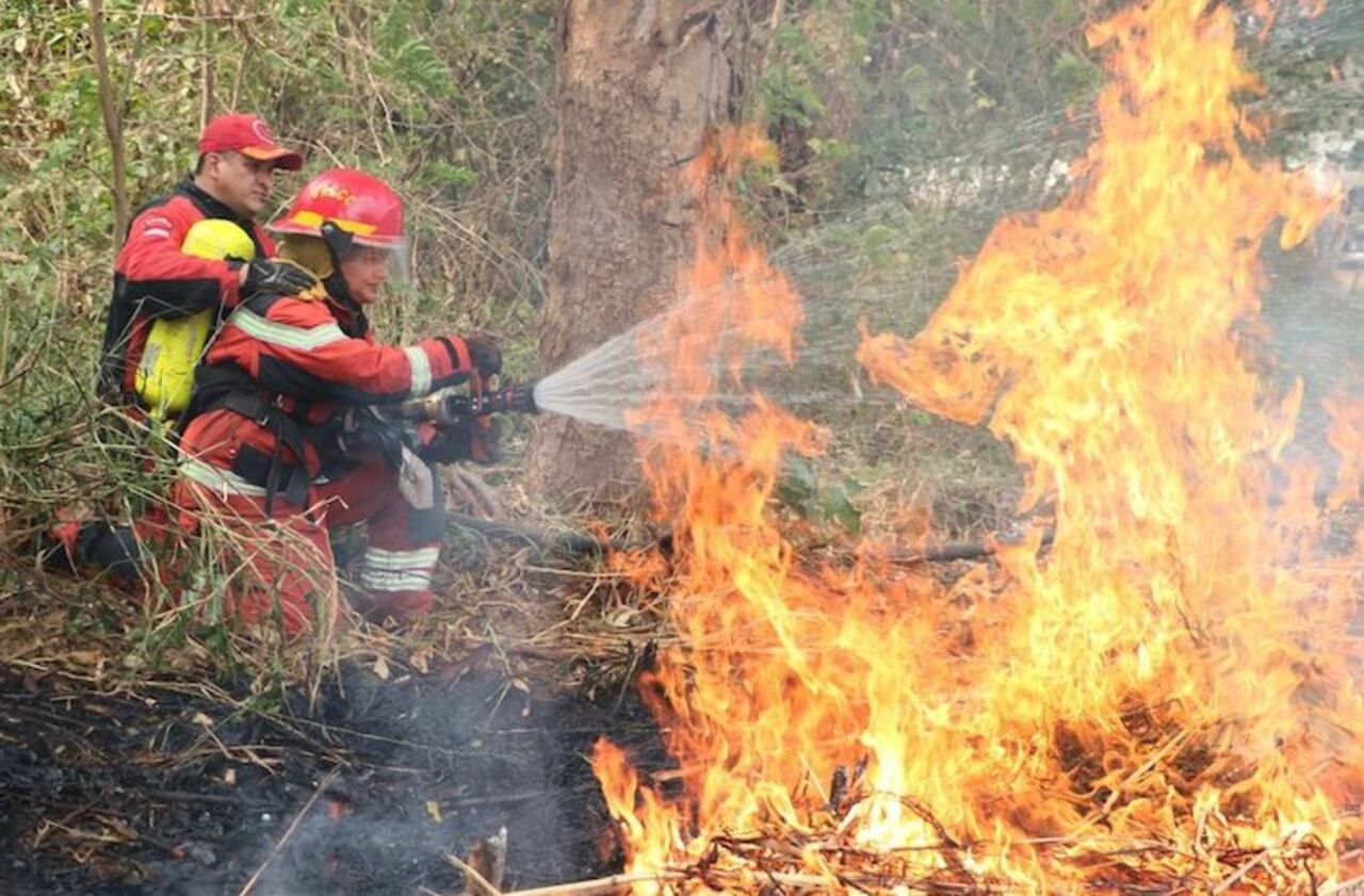Explicó que empieza el vicheo a la gente para que deje de quemar basuras y pastizales.