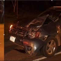 Vaca provoca accidente sobre la Ruta PY01