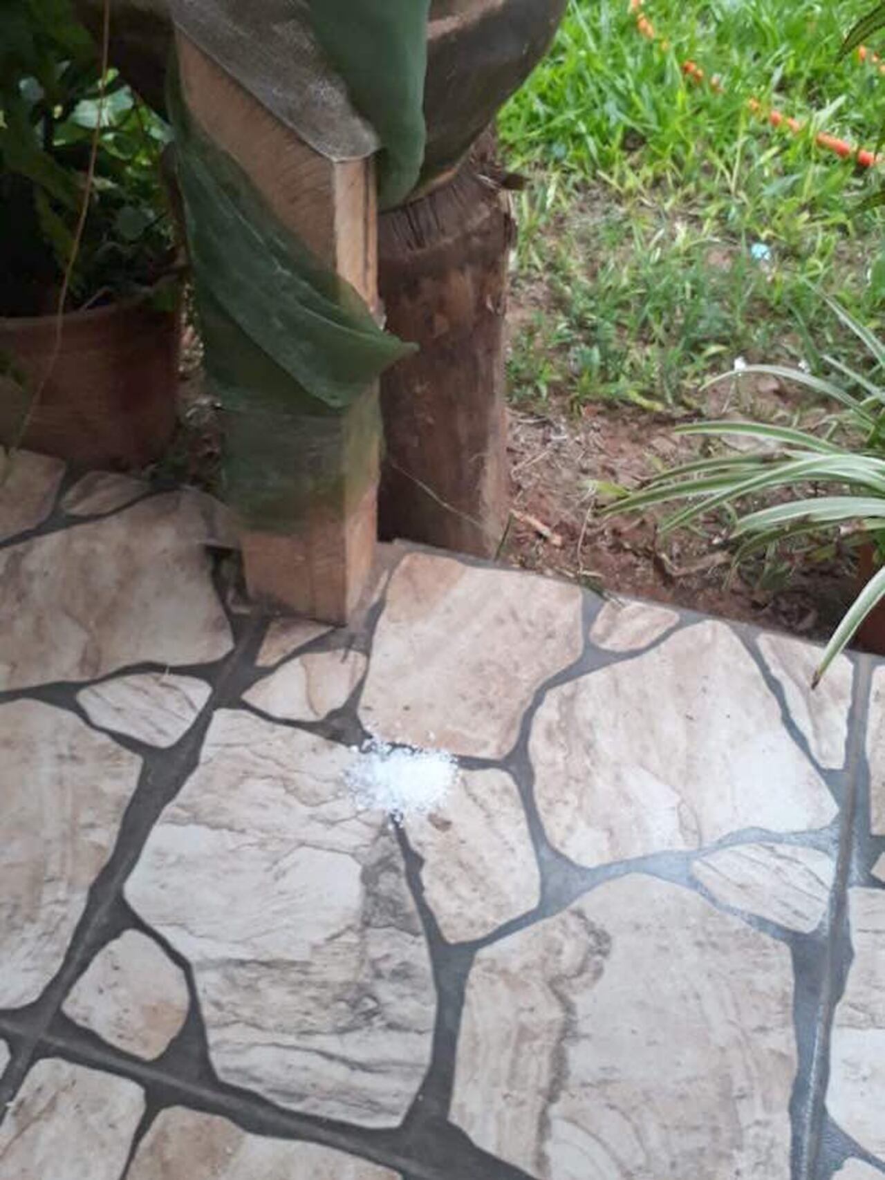 Cada rincón de la casa de la joven tiene sal gruesa.