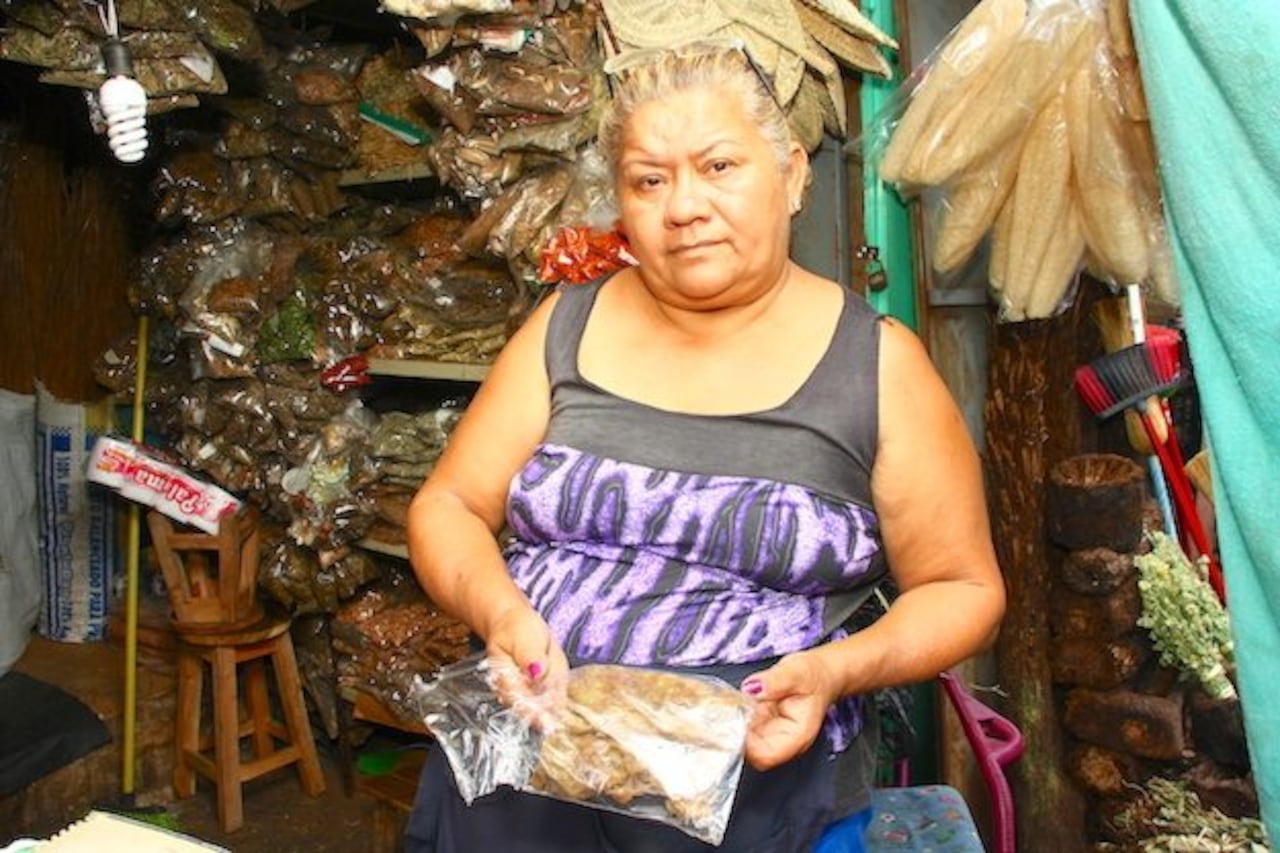 DOÑA. Ña Cristina asegura que la planta sí es medicinal.