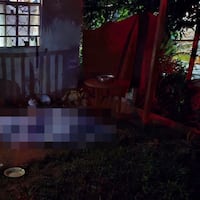 Mató a su padrastro para salvar a su mamá