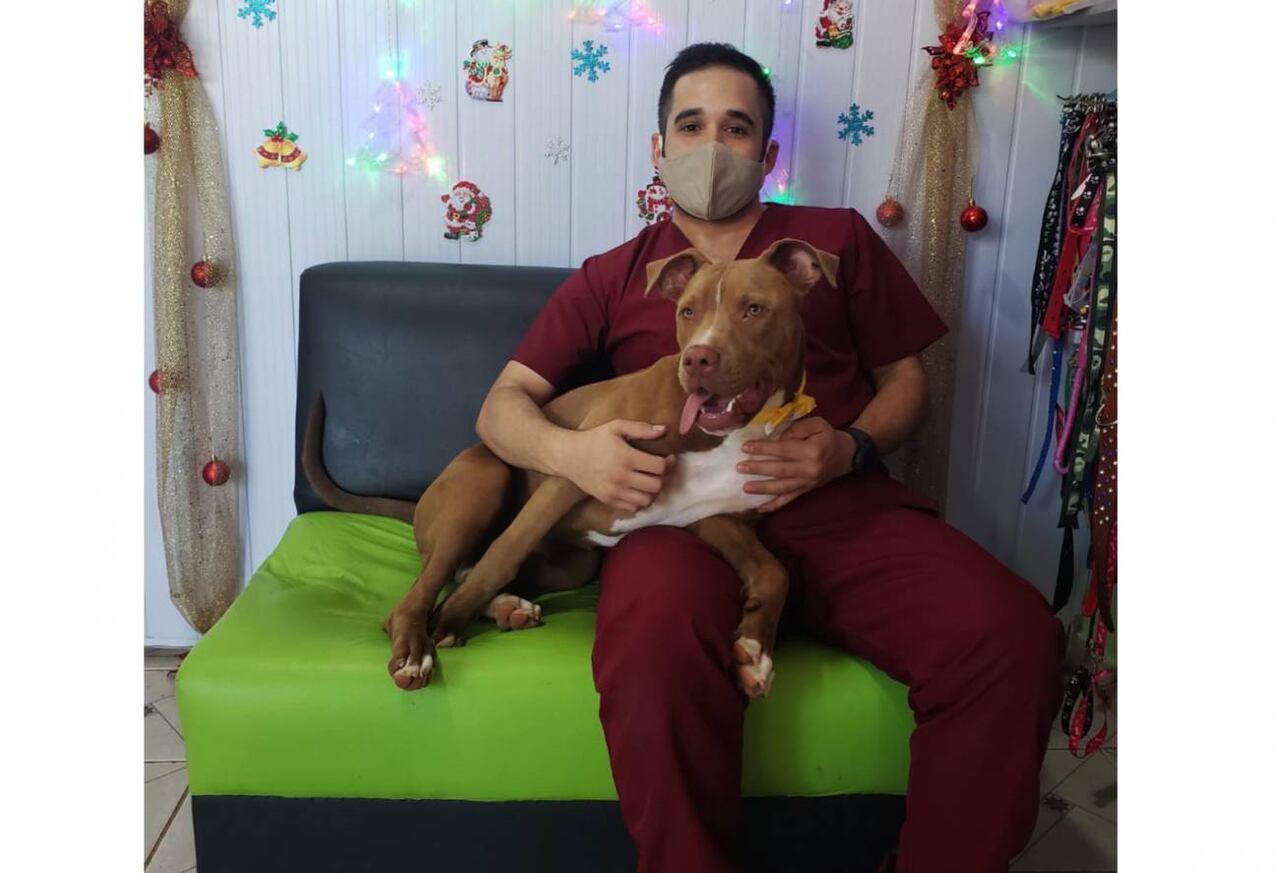 El doctor veterinario y rescatista, Derlis Barreto, junto a Luna. Foto: Gentileza.