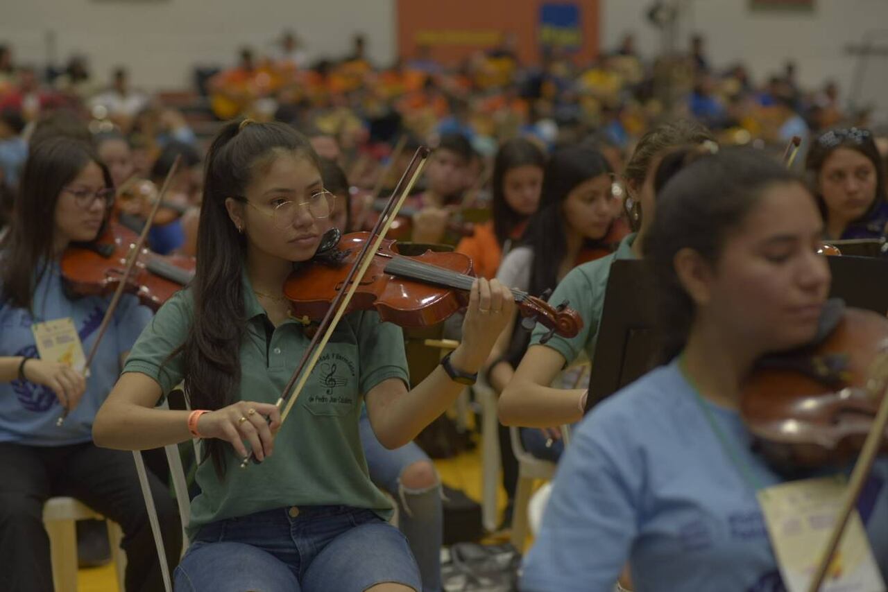 Violines, guitarras, arpas, y ere eréa, sonaron al unísono en un concierto de nivel. (Foto: Gentileza)