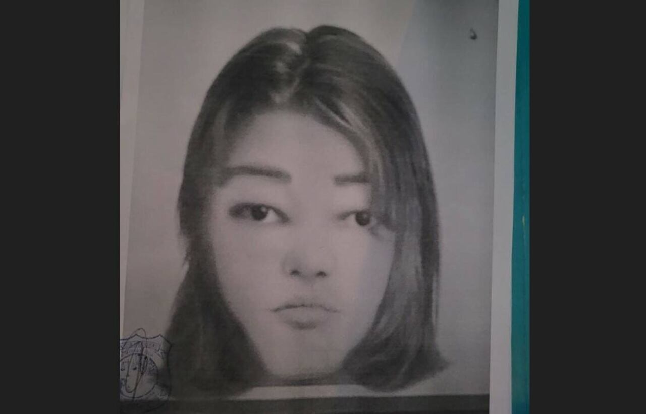 Retrato hablado de la supuesta autora del hecho, segúin la Policía. (Foto: Policía Nacional)