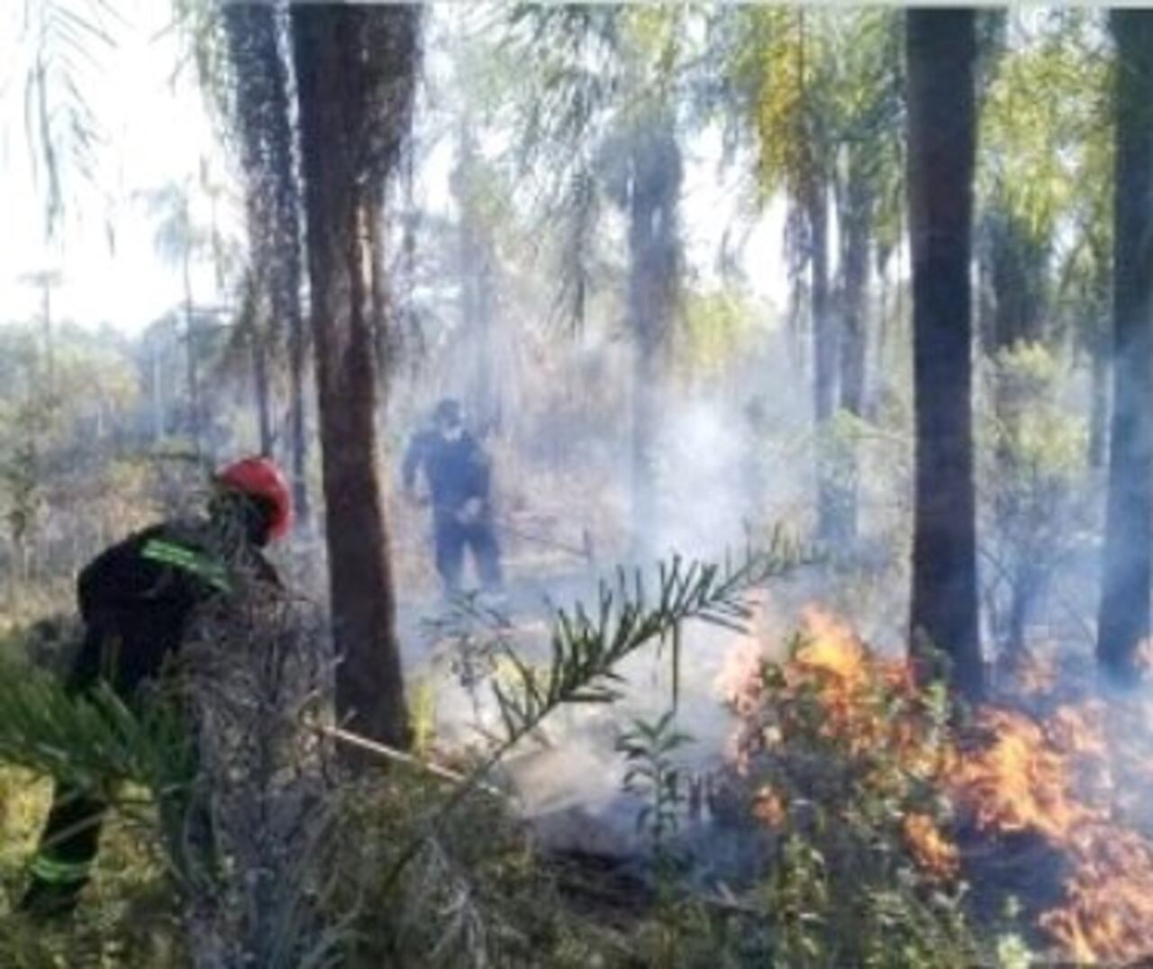 El incendio puede traer contaminación y muchos otros problemas. GENTILEZA