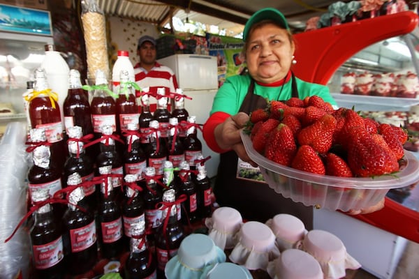 Festichola para comer frutillas