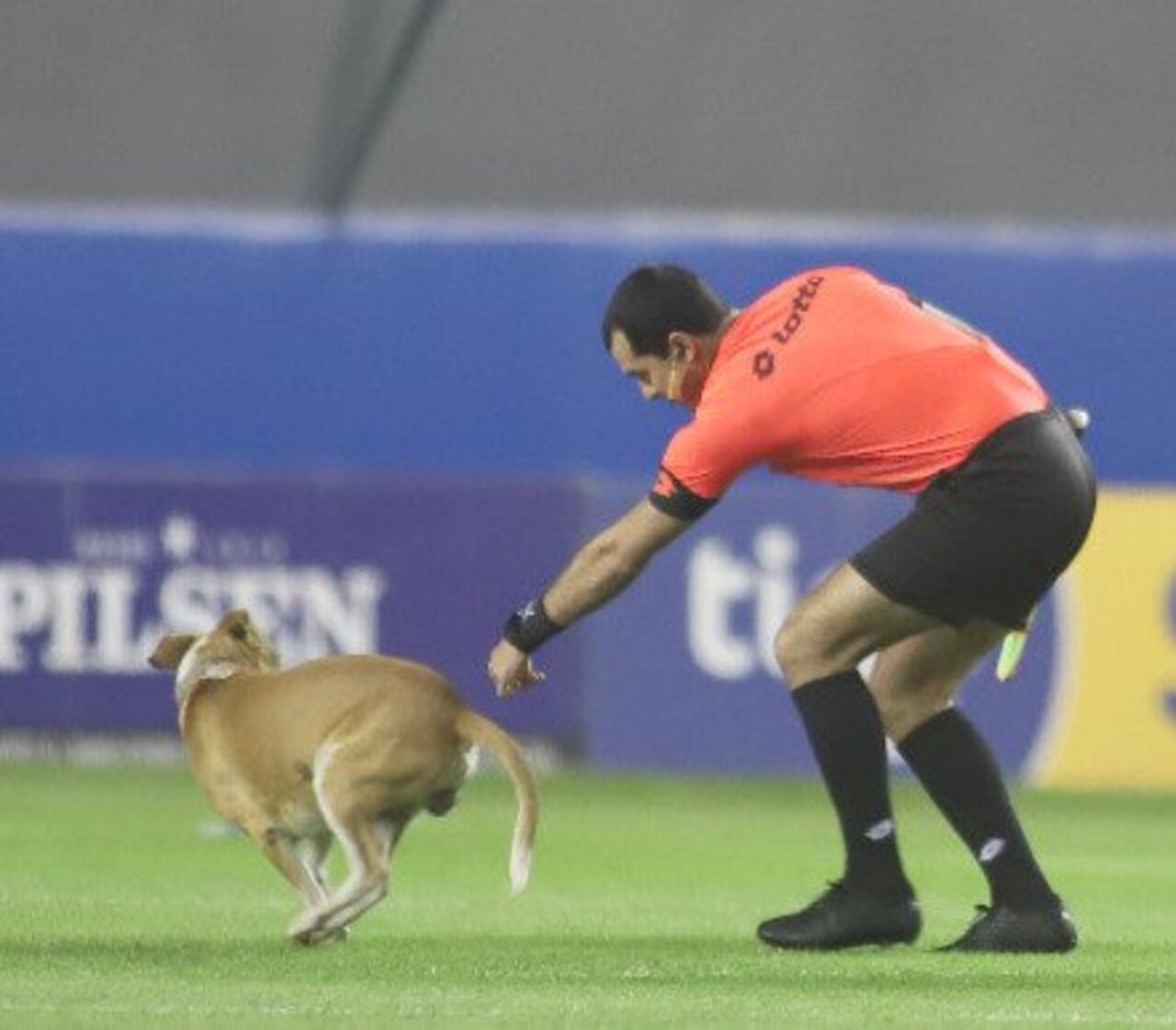 Y sí, “el mejor amigo del hombre” también se hizo presente ayer en el estadio “Arsenio Erico”.