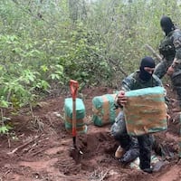 Ojepilla marihuana en 23 caletas subterráneas