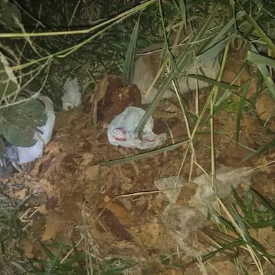¡De ultratumba! Encontraron huesos y un ataúd en descomposición