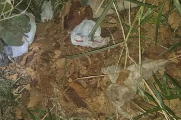 ¡De ultratumba! Encontraron huesos y un ataúd en descomposición