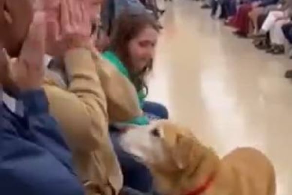 En este refugio, es el perro quien adopta a su humano