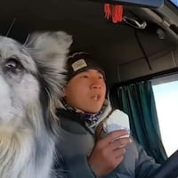 ¡Para llorar! Se comieron a Chutou, el perro influencer que fue secuestrado