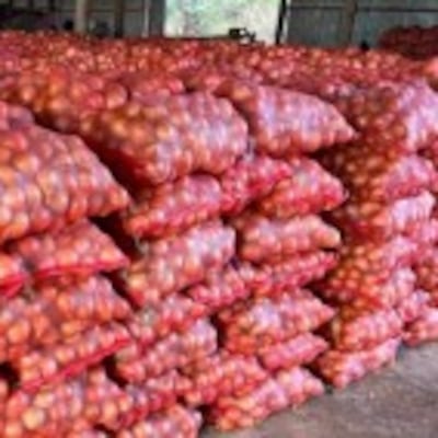 Precio de la papa y cebolla ojupi por las nubes